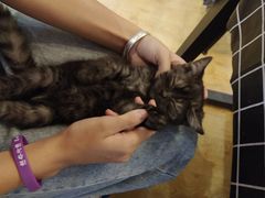 -万小咖.猫咖(中山路天虹店)