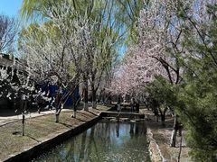 -春风习习