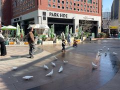 -中粮·祥云小镇