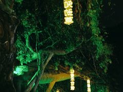 -横店影视城梦幻谷园区