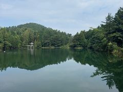 -四明山国家森林公园