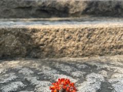 -金泽古镇