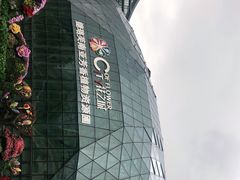 -花之城