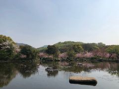 -白马涧龙池景区