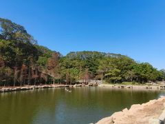 -广州市帽峰山景区