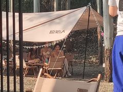 -桉树林A coffee 森林餐厅(三圣乡店)