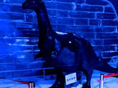 -宁波冰雪大世界(北仑区)