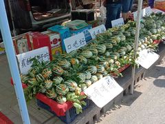-蒲河大集