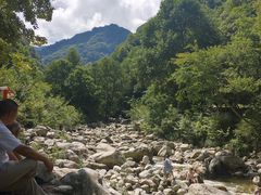 -陕西省红河谷森林公园