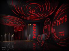 -PAPAYA CLUB 酒吧(深圳旗舰店)