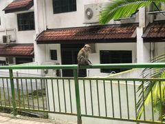 -武吉知马自然保护区