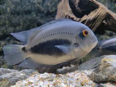 -上海海洋水族馆