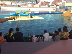 -秦皇岛乐岛海洋王国