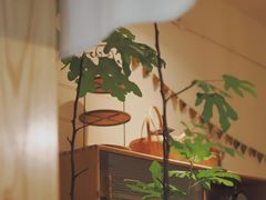 -懒鱼时光馆(沙坪坝店)