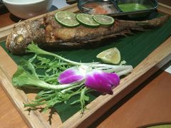 -花样西贡·蜜越餐厅·法式越南料理(水晶城店)