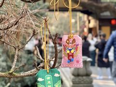 -灵隐飞来峰景区