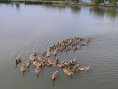 -野鸭湖国家湿地公园