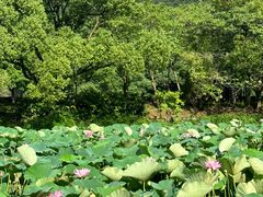 -兰亭风景区