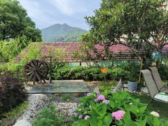 -龙坞茶村