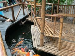 -上海大自然野生昆虫馆(东方明珠·爬宠昆虫探索中心)