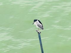 -九江市博物馆