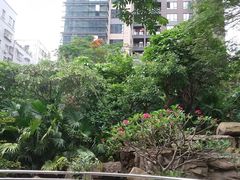 -京基滨河时代广场