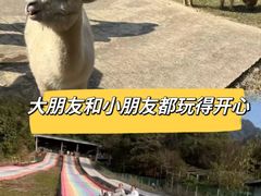-南丹山森林王国