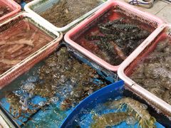 -大东海海鲜酒楼(渔人码头总店)