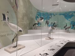-盐城丹顶鹤湿地生态旅游区