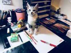 -荔刺青纹身·手穿孔饰品