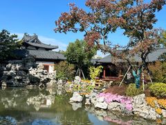 -江心屿景区
