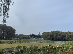 -东郊湿地公园