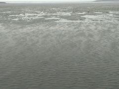 -檀园