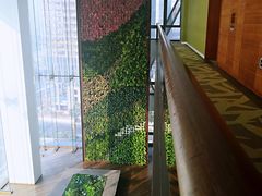 -深圳湾木棉花酒店