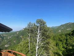 -少华山国家森林公园