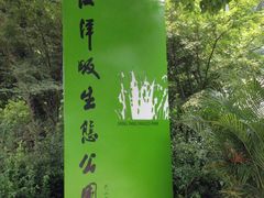 -西湖风景区-江洋畈生态公园