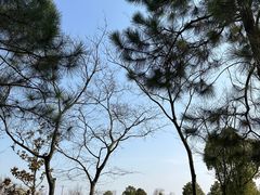 -佛手湖郊野公园