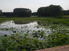 -东郊湿地公园