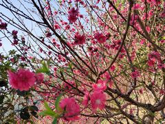 -水濂山森林公园