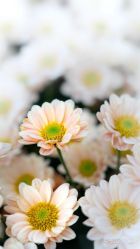 -KIDSMEMO拾光纪儿童摄影(金丰大厦店)