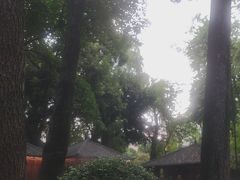 -大妙火锅·非物质文化遗产(东湖公园店)