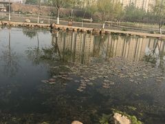 -前关湿地公园