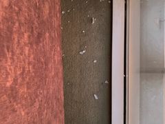 -庞大滦州国际大酒店