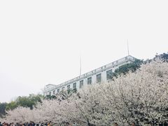 -武汉大学-樱园