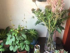 -双季花艺园艺市场(浦东店)
