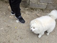 -牛街螺丝田