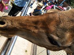 -泉州海丝野生动物世界