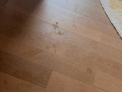 -上海佘山世茂艾美酒店