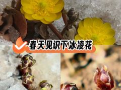 -沈阳植物园