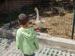 -太湖好灶头土菜馆(石公路店)